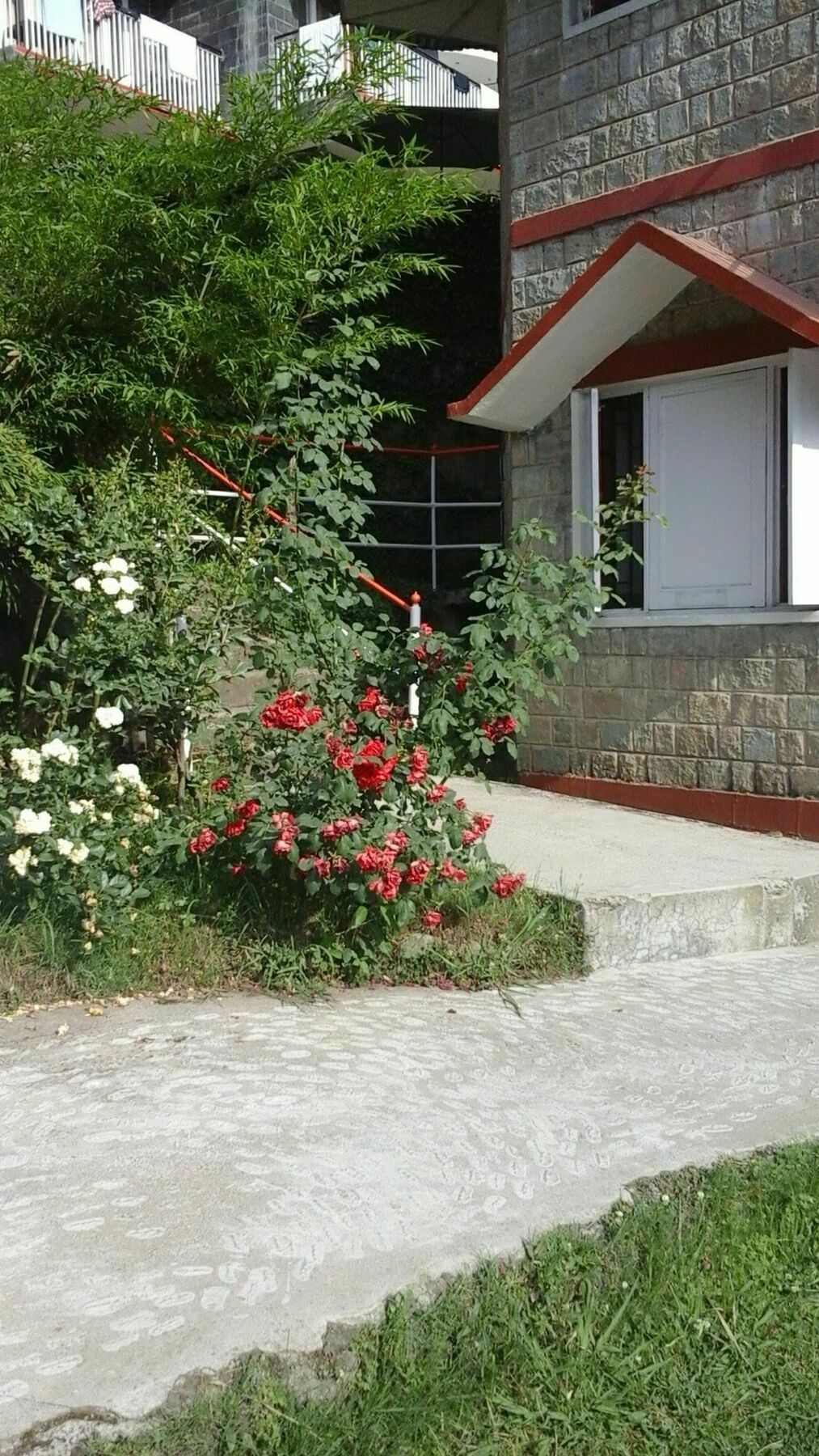 Hotel Dev Cottage Dharamshala Exterior photo